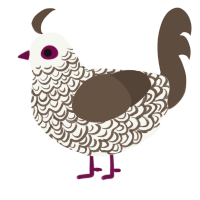CookiesAndCream, a white and bark chicken with a double-lace pattern