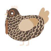 A bark and beige chicken with a lace pattern