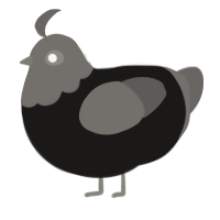 Goth, a sable and grey chicken with a head pattern