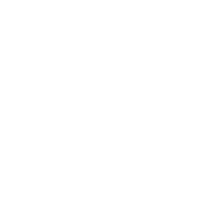 A white chicken with a lace pattern