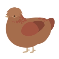 A brown and russet chicken with a neck-speckle pattern
