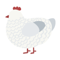 Snowy Sweetheart, a white and mist chicken with a lace pattern