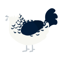 (unnamed), a white and tumblr chicken with a half-lace pattern