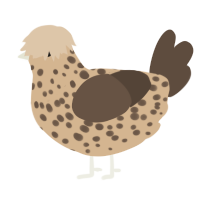 A beige and bark chicken with a speckle pattern