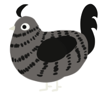 A grey and black chicken with a bar pattern