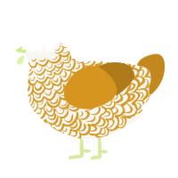 A white and ochre chicken with a double-lace pattern