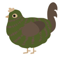 A olive and bark chicken with a bar pattern