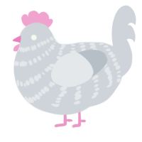 A mist chicken with a bar pattern