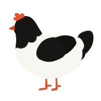 First Quarter, a white and black chicken with a head pattern