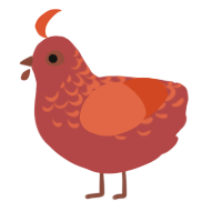 A red and vermilion chicken with a half-lace pattern