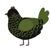 A black and olive chicken with a lace pattern