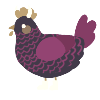 A navy and plum chicken with a lace pattern