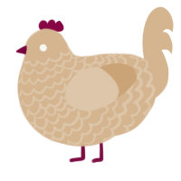 Cashew Butter, a beige chicken with a lace pattern