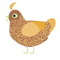 A brown and honey chicken with a double-lace pattern