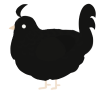 A black chicken with a half-lace pattern