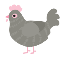 Chicken, a ash chicken with a bar pattern