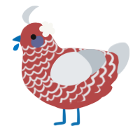 A red and mist chicken with a lace pattern
