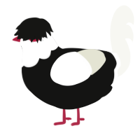 Jeff the Killer, a black and white chicken with a head pattern