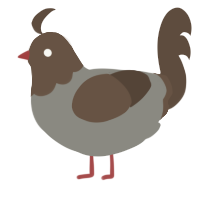 A ash and bark chicken with a head pattern