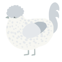 (unnamed), a white and mist chicken with a speckle pattern