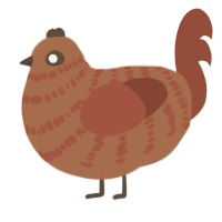 A brown and russet chicken with a bar pattern
