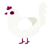 A white chicken with a lace pattern