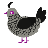A ash and black chicken with a lace pattern