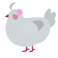 Pidove, a mist and silver chicken with a double-lace pattern