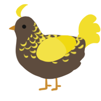 Lightning, a bark and yellow chicken with a half-lace pattern