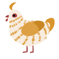 A cream and orange chicken with a bar pattern