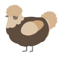 Pompompompom, a bark and beige chicken with a head pattern
