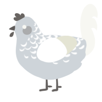 A mist and white chicken with a half-lace pattern