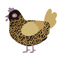 A black and ochre chicken with a double-lace pattern