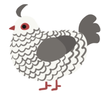 A white and grey chicken with a lace pattern
