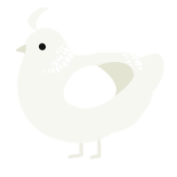 A white chicken with a neck-band pattern