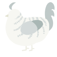 Mist, a white and silver chicken with a half-bar pattern