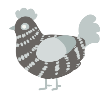 A grey and silver chicken with a bar pattern