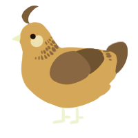 A ochre and bark chicken with a neck-band pattern