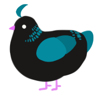 A sable and sea chicken with a neck-band pattern