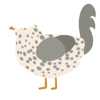 A cream and ash chicken with a speckle pattern