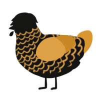 autumn breeze, a black and orange chicken with a lace pattern