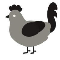 A ash and sable chicken