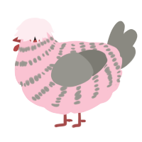 A rose and ash chicken with a bar pattern