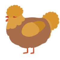 A brown and orange chicken with a head pattern