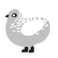 A ash and white chicken with a half-lace pattern