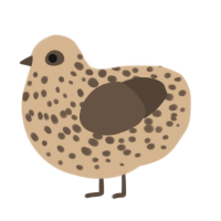 Cinnamon Bagel, a beige and bark chicken with a speckle pattern