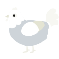 A mist and white chicken with a head pattern