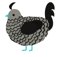 A ash and black chicken with a lace pattern