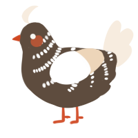 A bark and cream chicken with a half-bar pattern