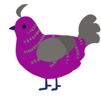 A plum and grey chicken with a half-bar pattern